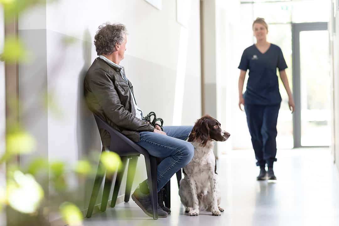 cão e cuidador na sala de espera