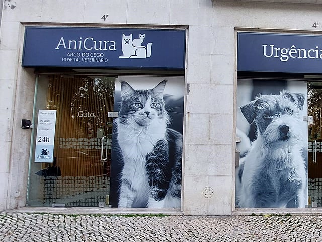 AniCura Arco do Cego Hospital Veterinário