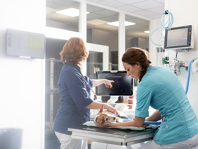 Uma pessoa e um cachorro em uma mesa.