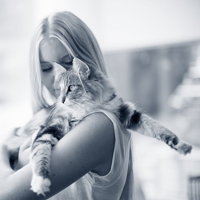 Uma pessoa segurando um gato.