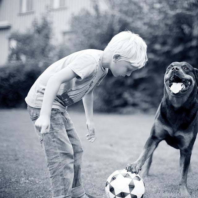criança e cão a brincar com uma bola