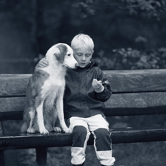 Uma criança sentada em um banco com um cachorro.