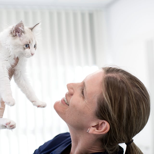 Uma pessoa segurando um gato.