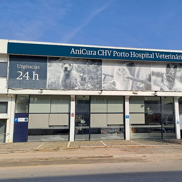 AniCura CHV Porto Hospital Veterinário