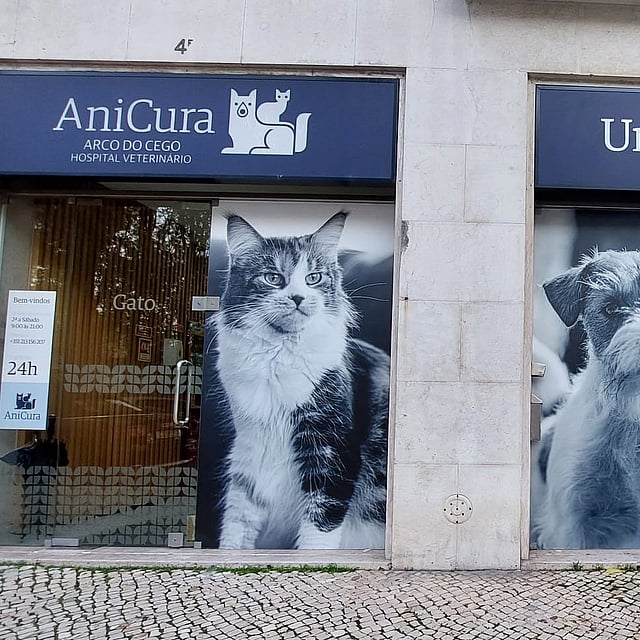 Um prédio com janelas com cães e gatos.