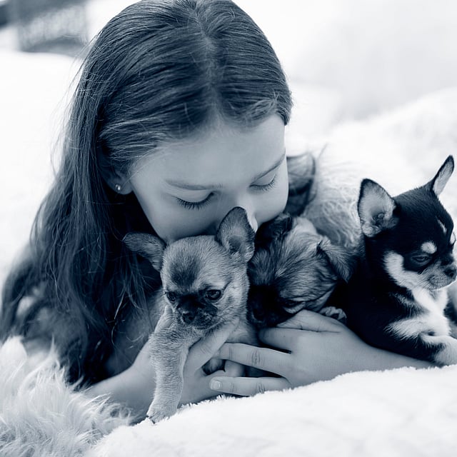 Menina com cachorros