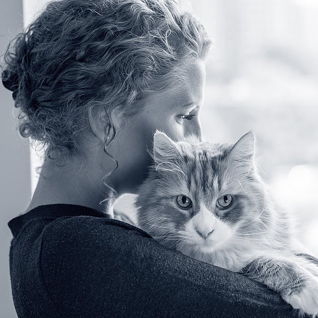 Uma pessoa segurando um gato.