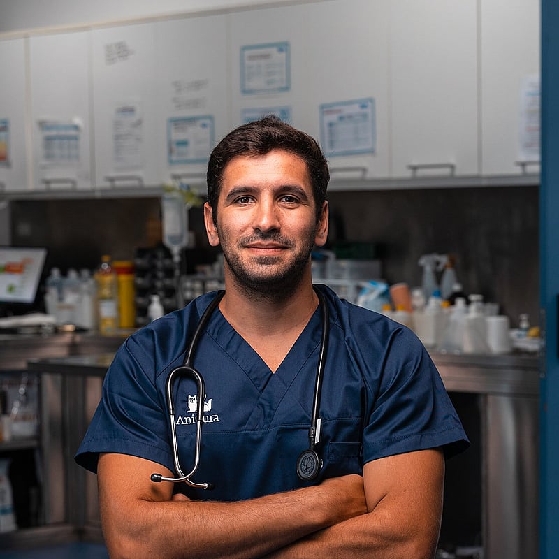 Fotografia de João Moreira, Médico Veterinário