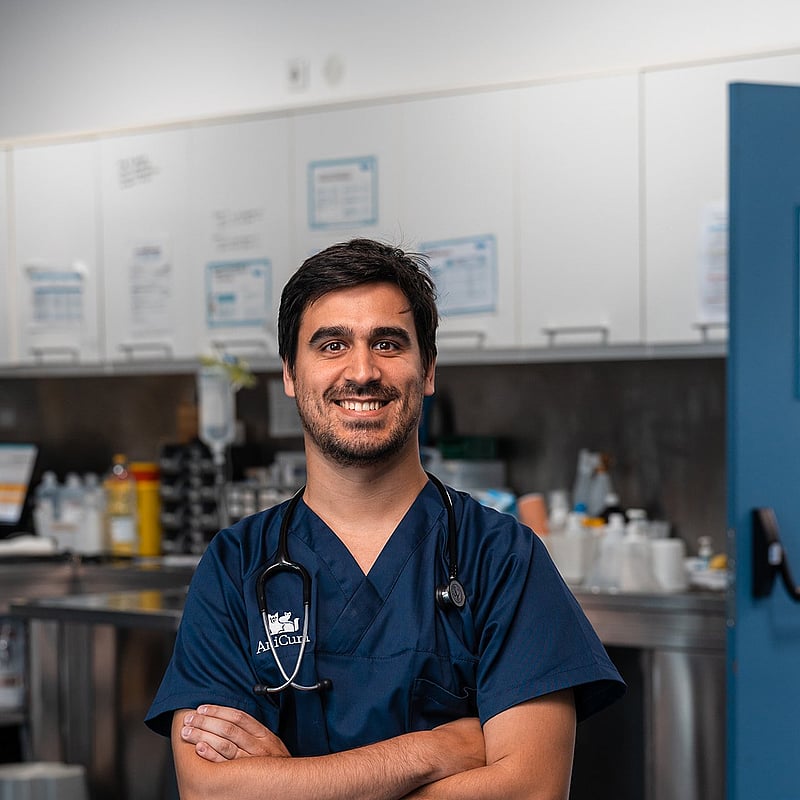Fotografia de João Neves, Médico Veterinário