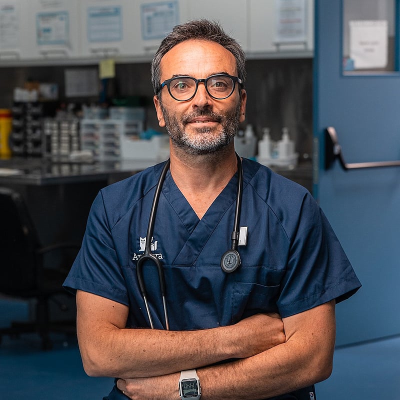 Fotografia de Lénio Ribeiro, Médico Veterinário