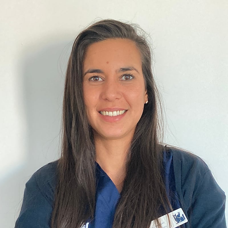 Fotografia de Sara Magalhães, Médica Veterinária