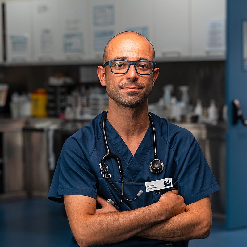 Fotografia de João Caiano, Médico Veterinário