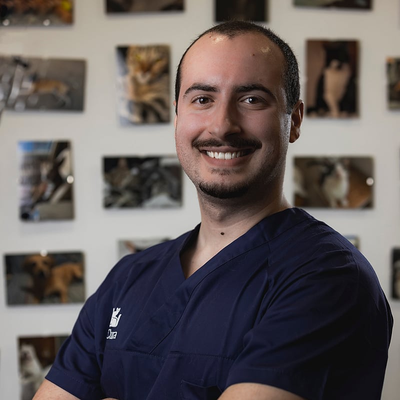 Fotografia de Hugo Neto, Médico Veterinário