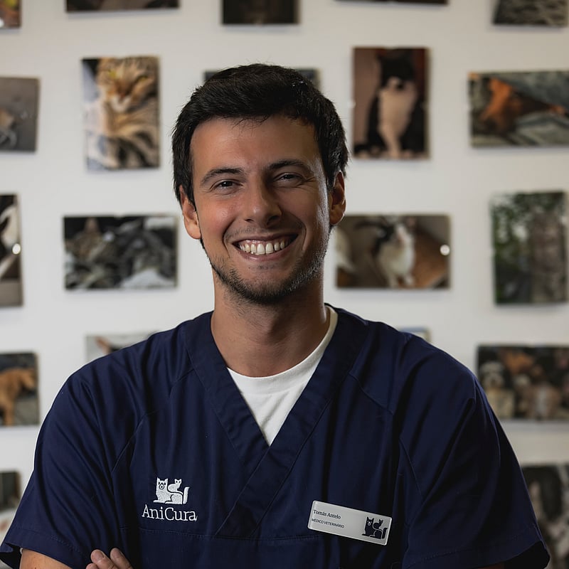 Fotografia de Tomás Antelo, Médico Veterinário