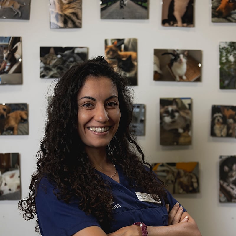 Fotografia de Rita Rodrigues, Médica Veterinária