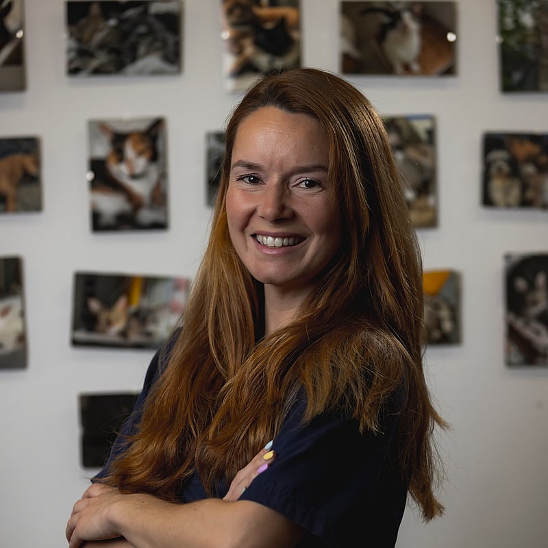 Fotografia de Cláudia Monchique, Médica Veterinária