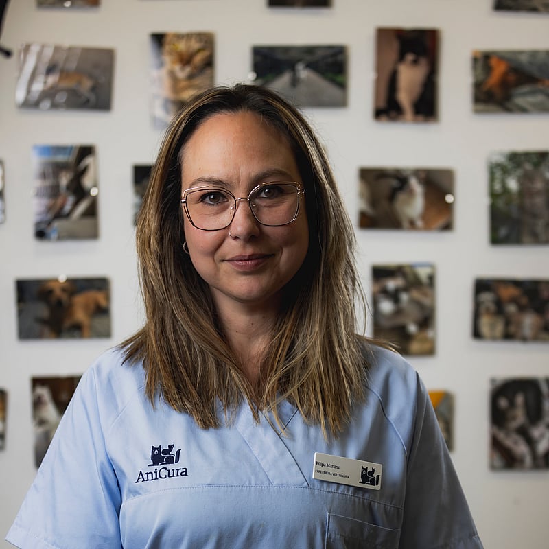 Fotografia de Ana Filipa Martins, Enfermeira Veterinária