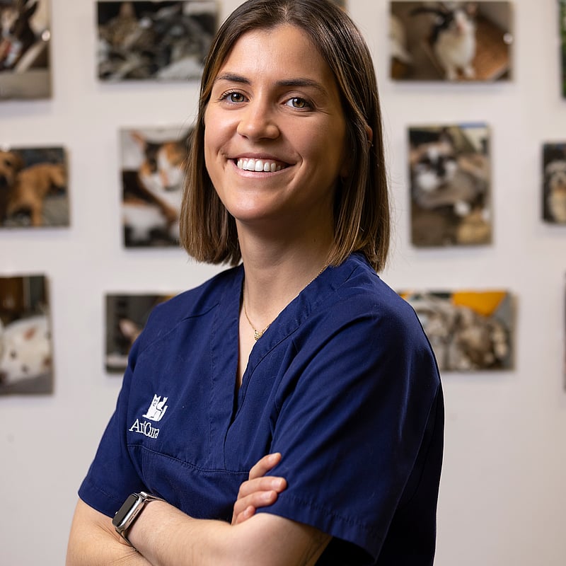 Fotografia de Laura Pinheiro Santos, Médica Veterinária