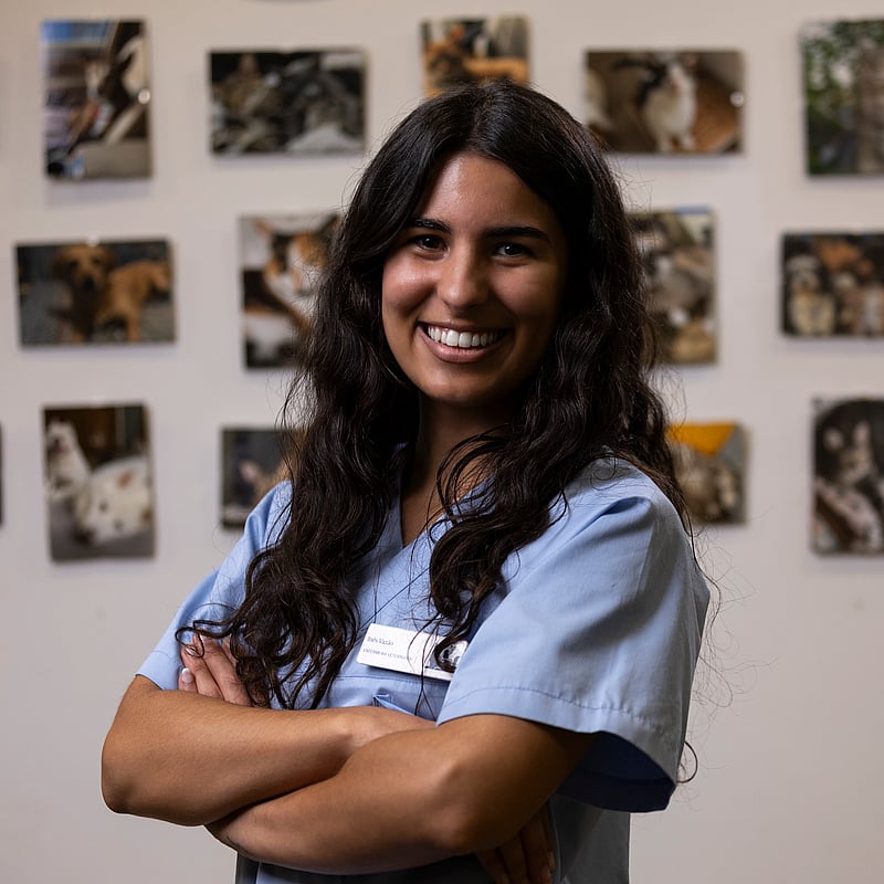 Fotografia de Inês Vazão, Enfermeira Veterinária