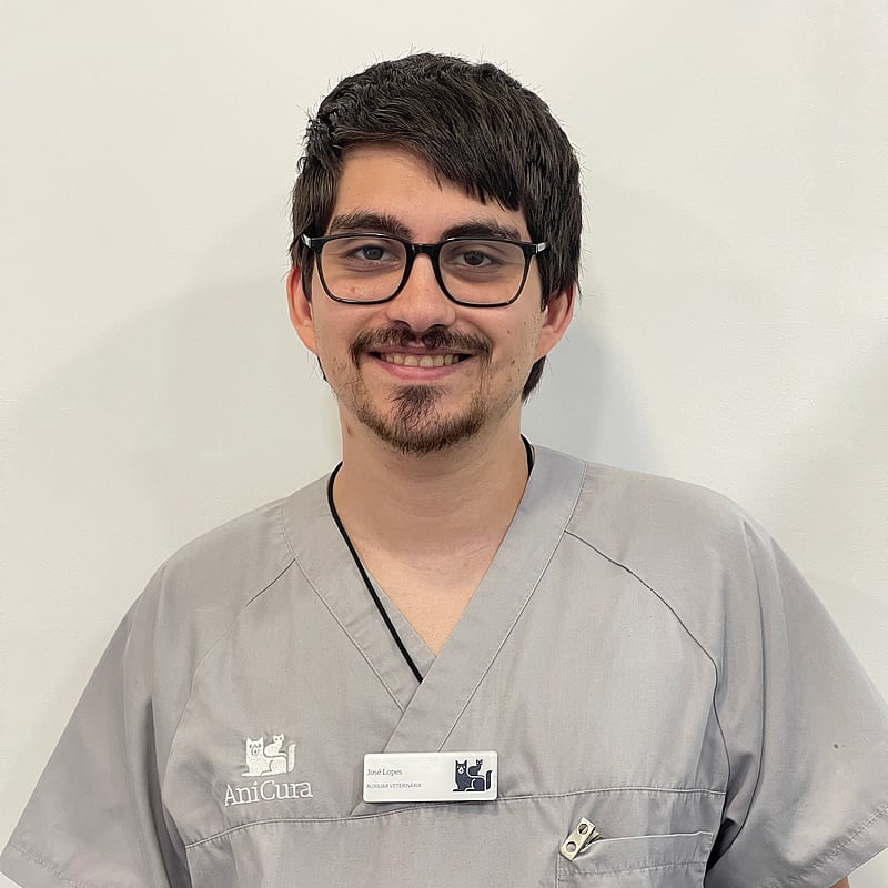 Fotografia de José Lopes, Auxiliar