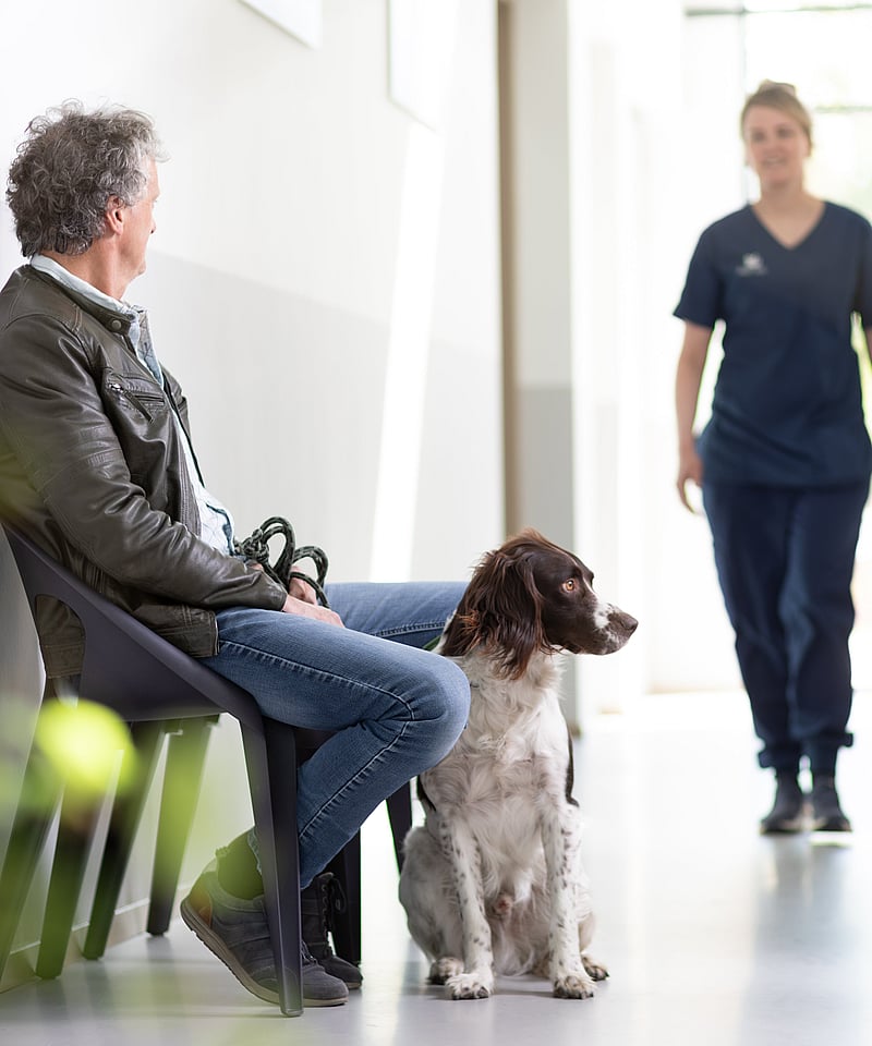 cão e cuidador na sala de espera