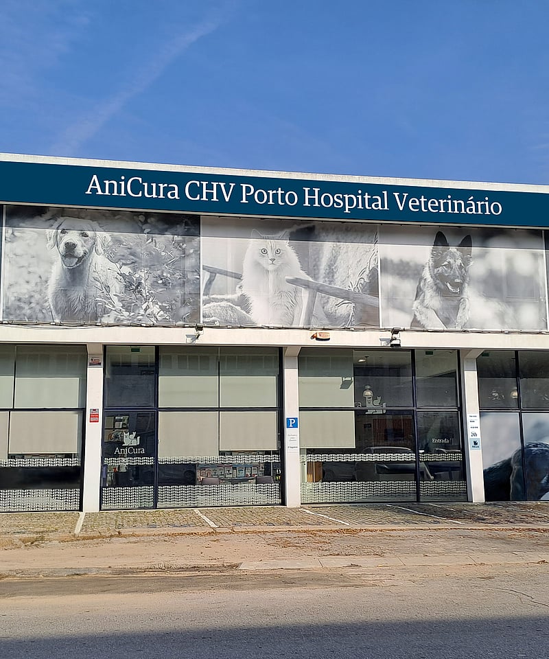 AniCura CHV Porto Hospital Veterinário