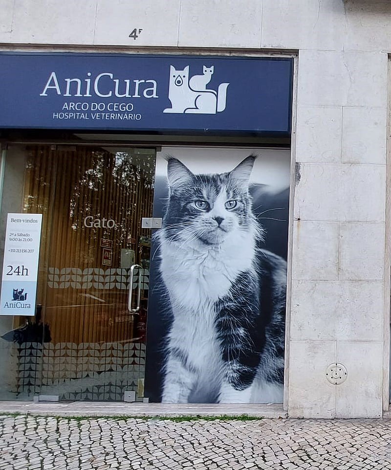AniCura Arco do Cego Hospital Veterinário