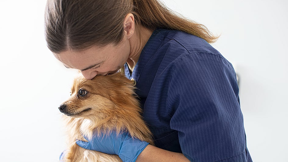 Uma pessoa de azul esfrega beijando um cachorro.