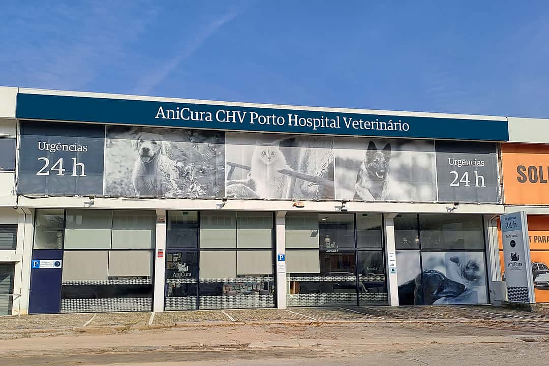 AniCura CHV Porto Hospital Veterinário