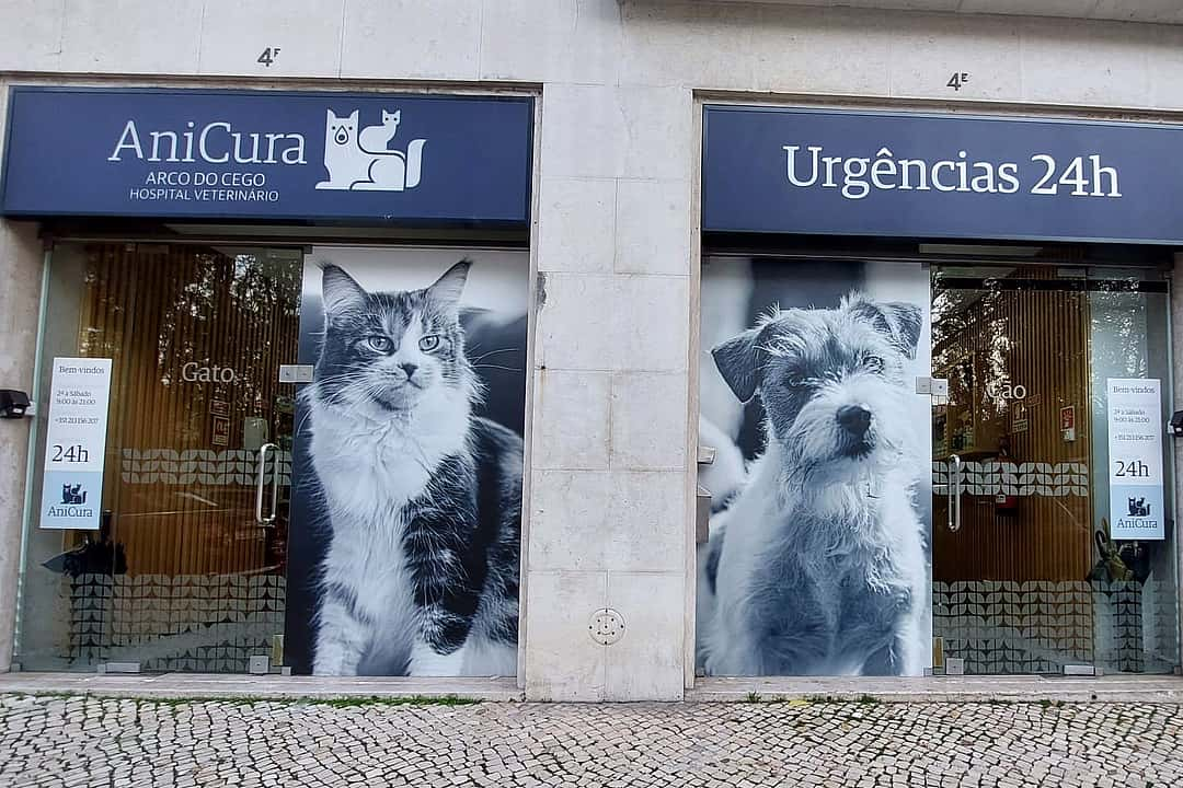 AniCura Arco do Cego Hospital Veterinário