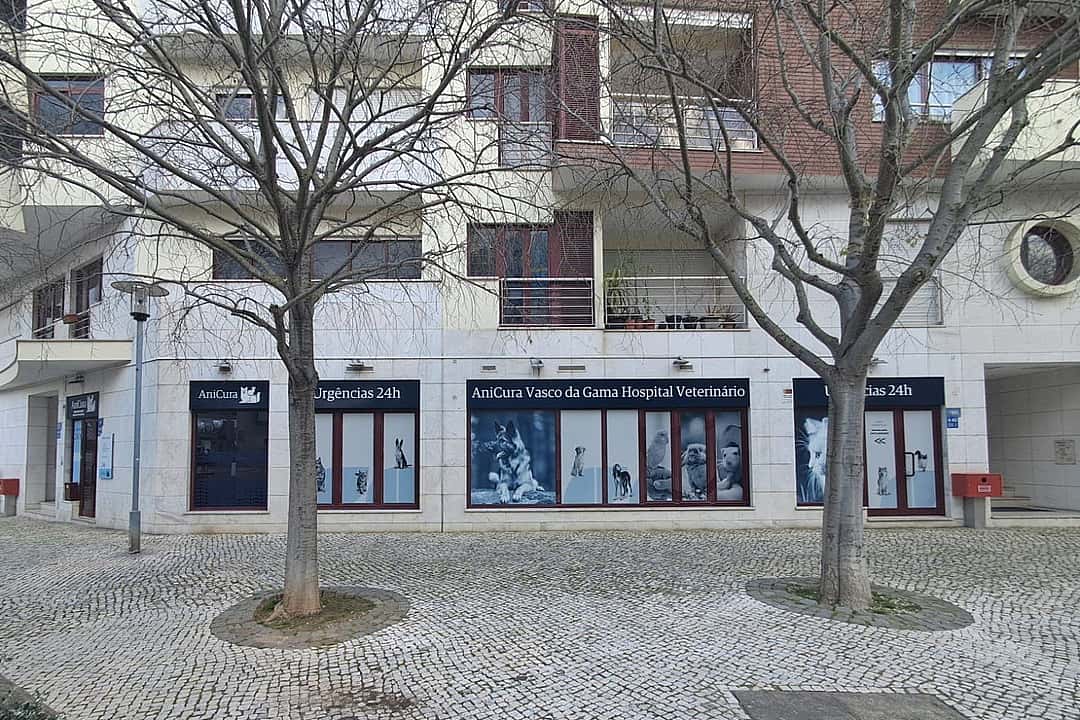 veterinários com um cão grande