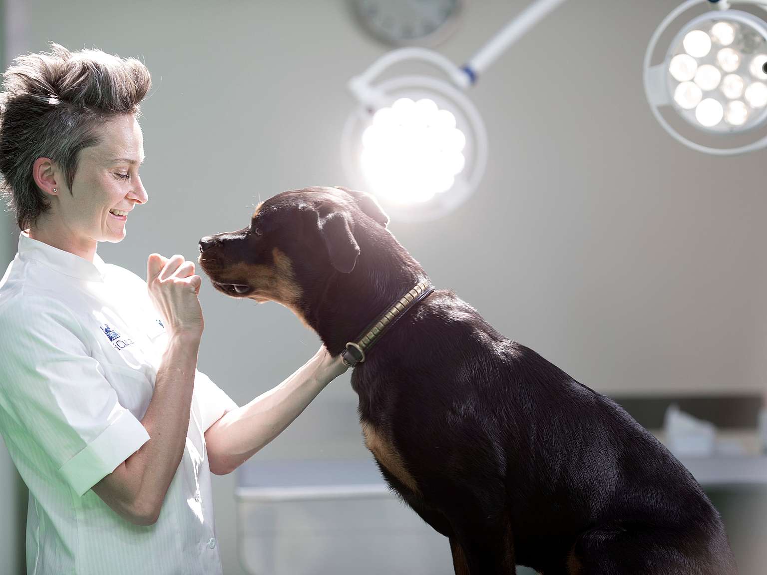 Veterinária e cão preto