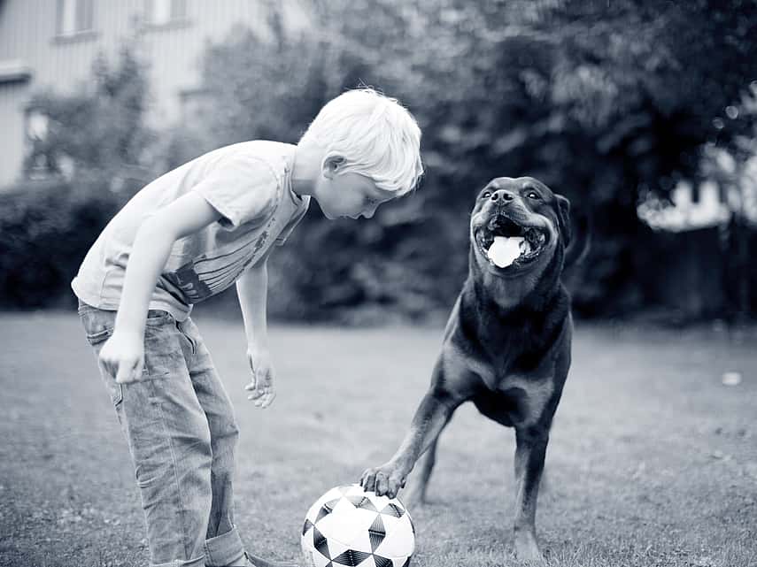 criança e cão a brincar com uma bola