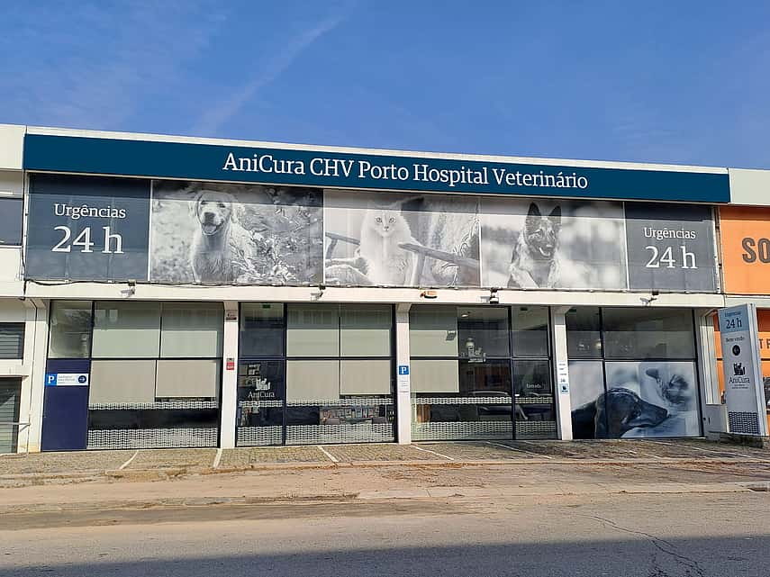 AniCura CHV Porto Hospital Veterinário