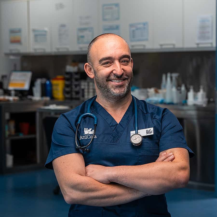Fausto Brandão
