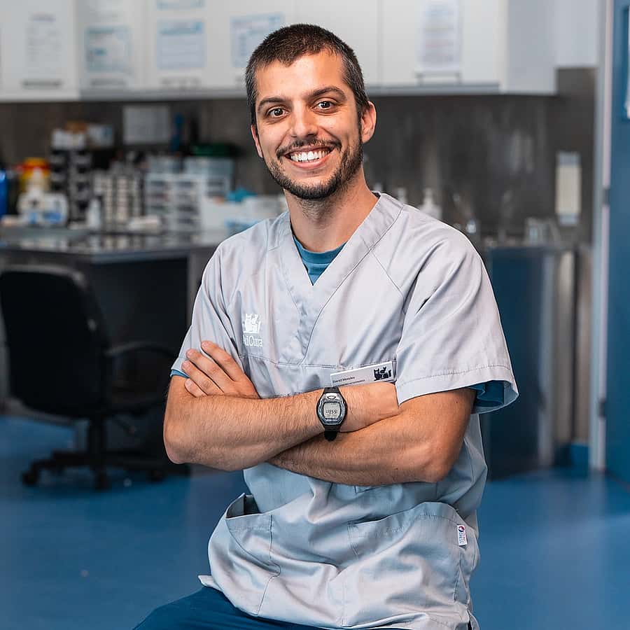 David Mendes