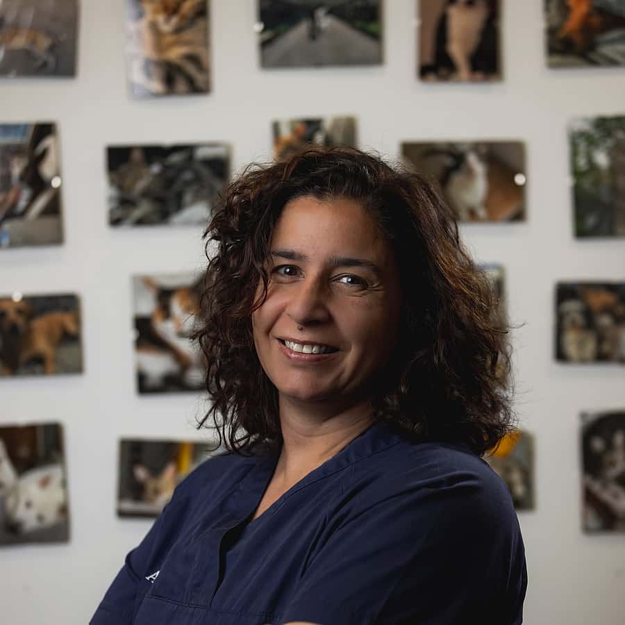 Rita von Bonhorst
