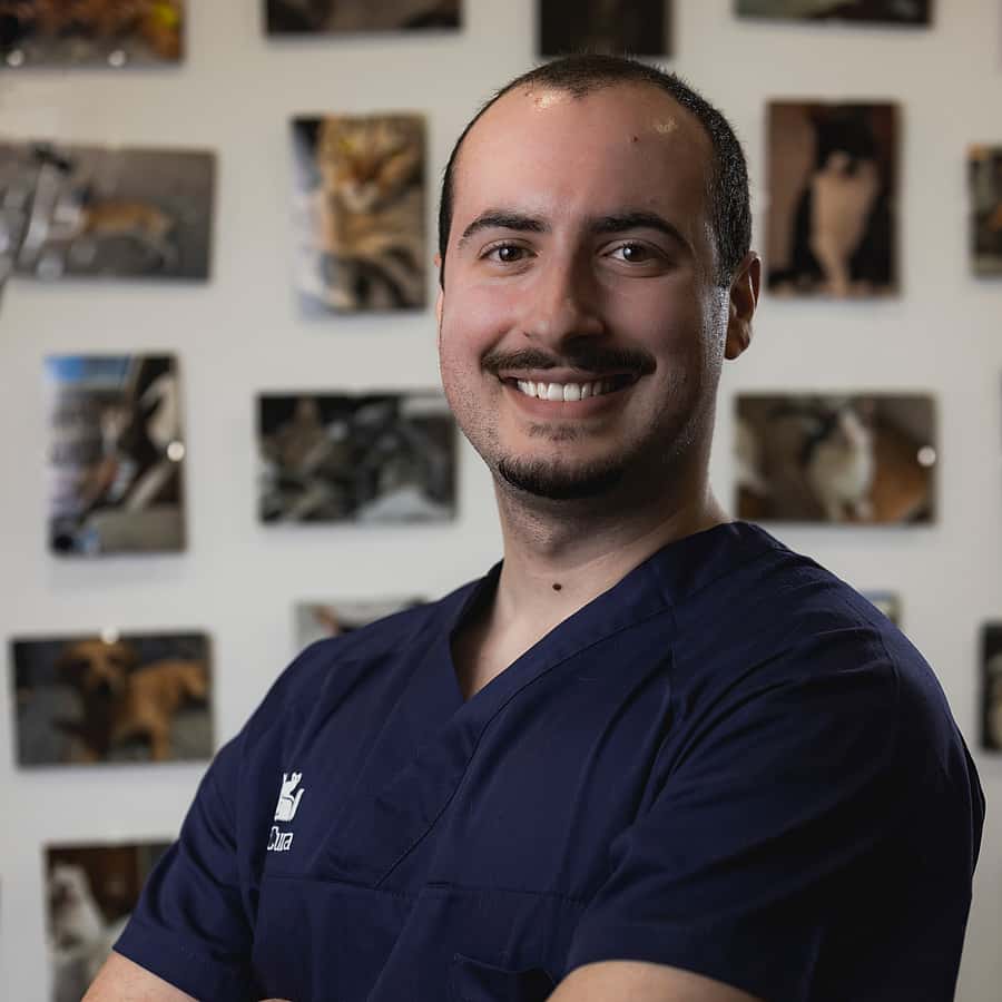 Hugo Neto