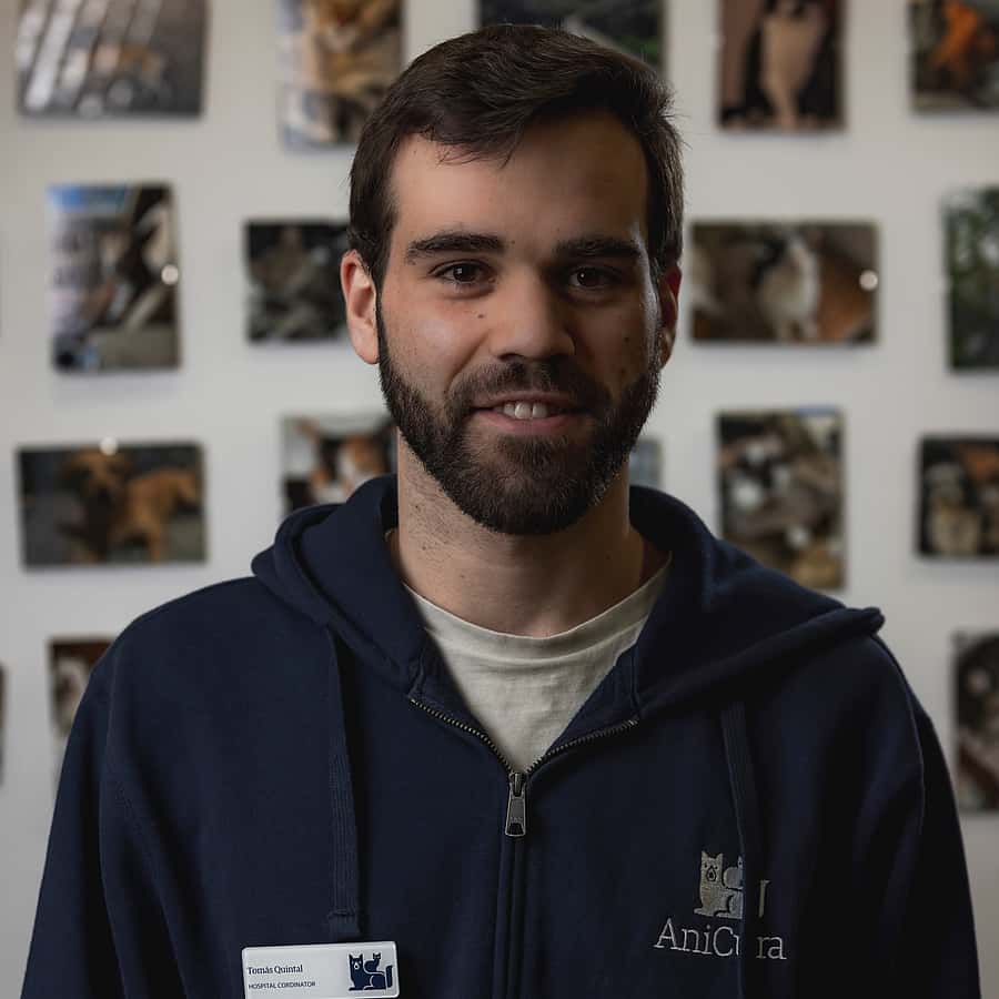 Lisandro Tomás Quintal