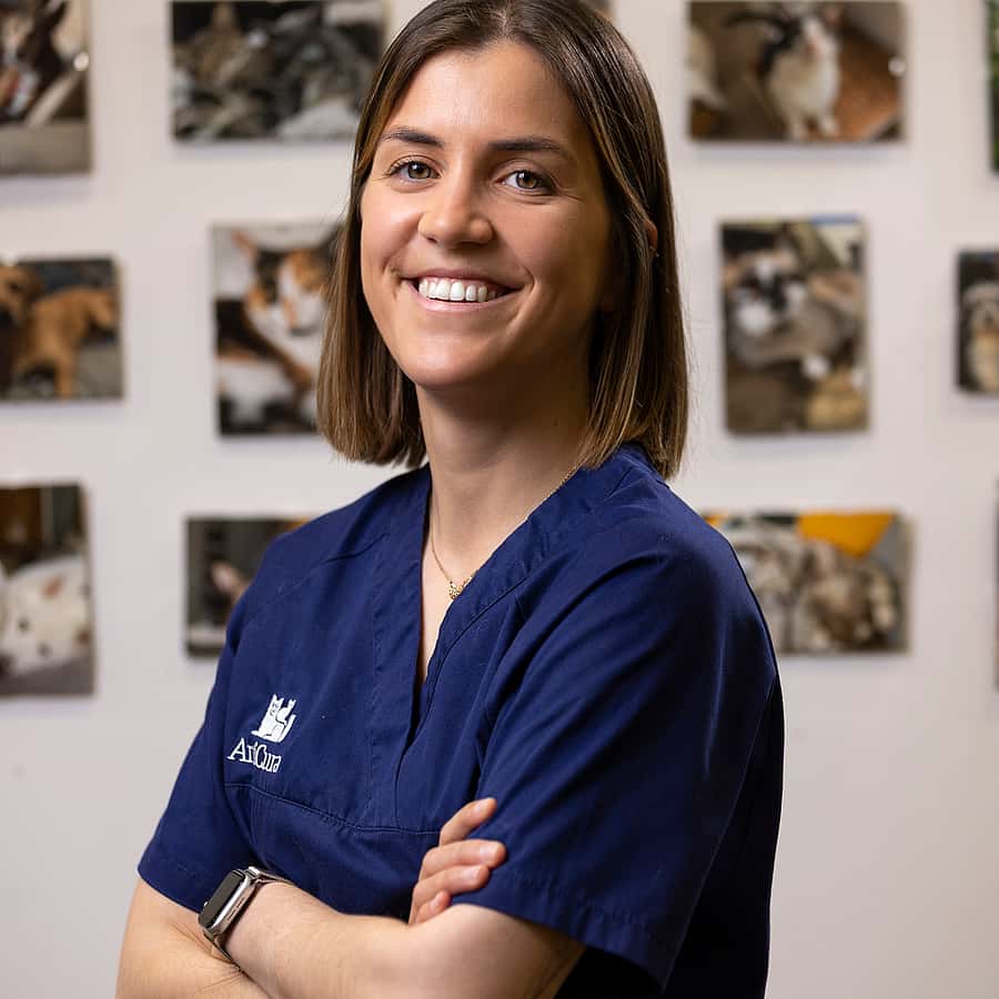 Laura Pinheiro Santos