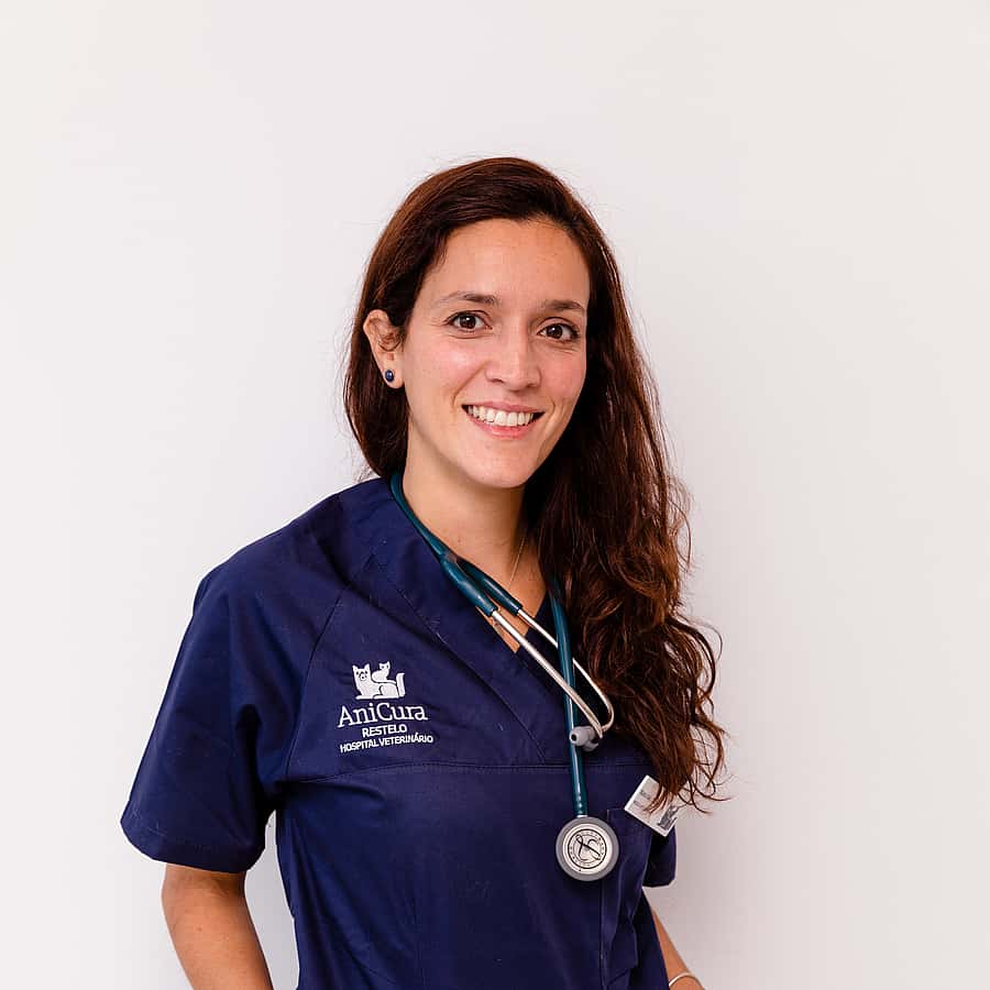 Maria João Delgado