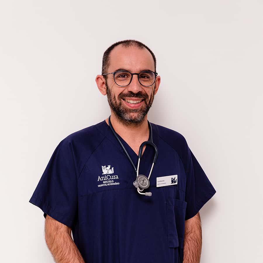 Luis Resende
