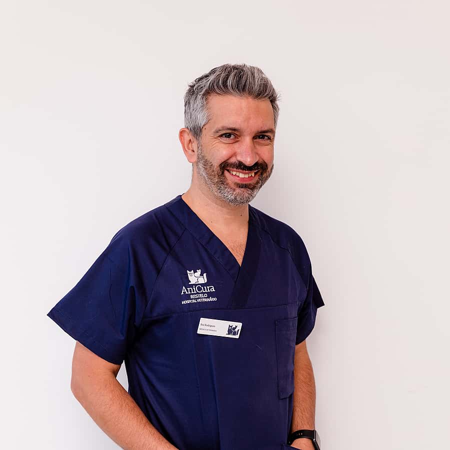 Rui Rodrigues
