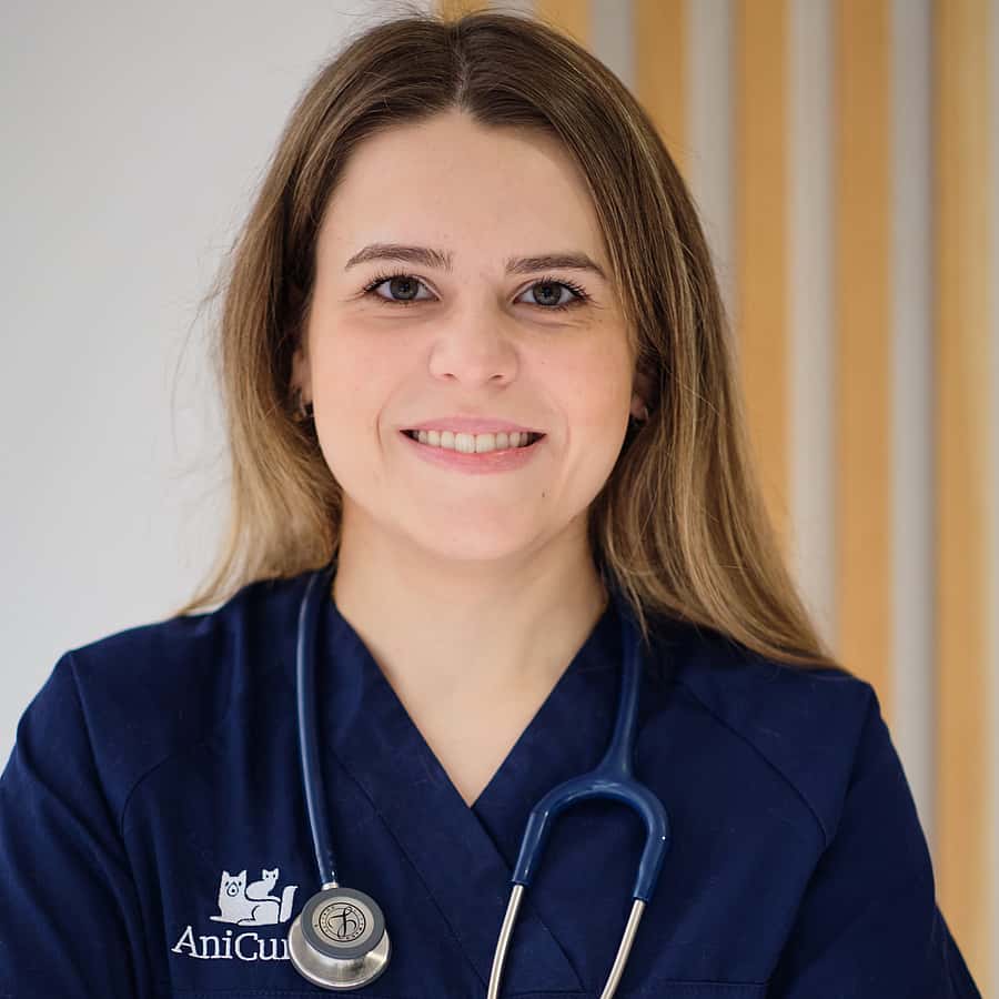 Médico Veterinário