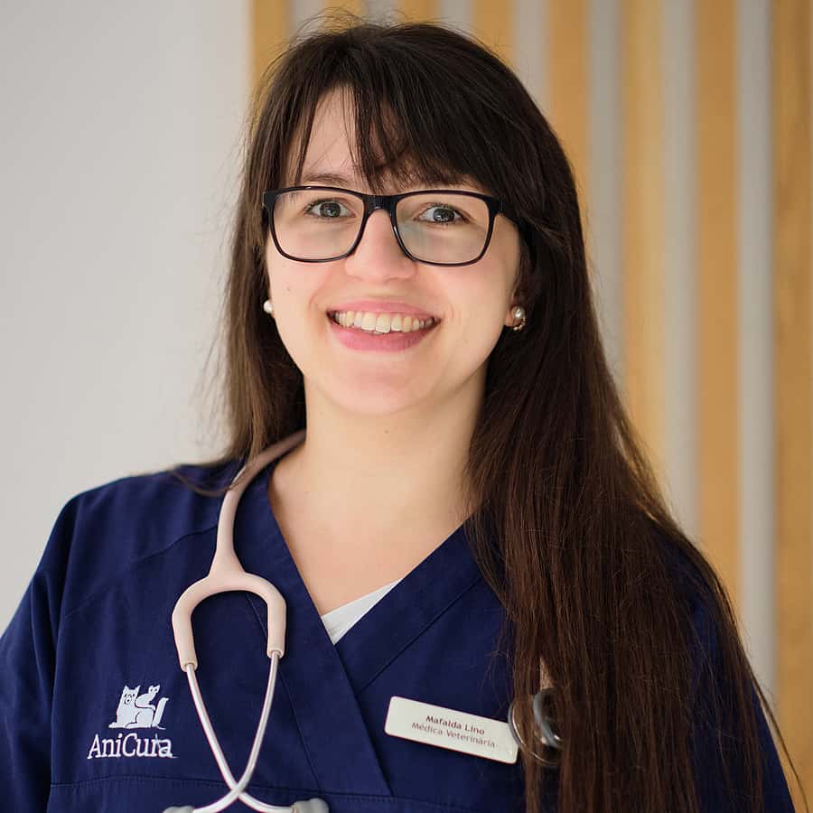Médico Veterinário