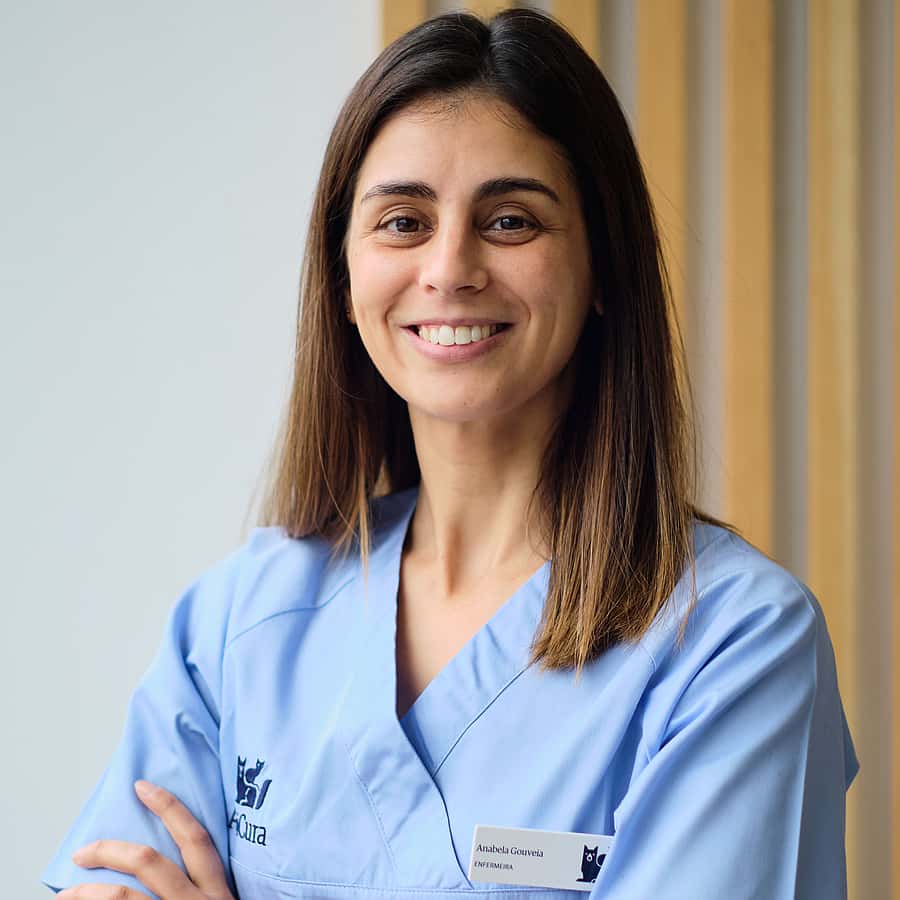 Enfermeiro Veterinário