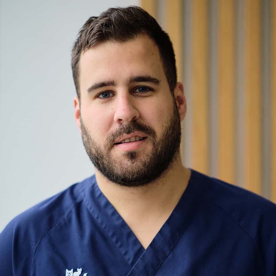 Técnico de Radiologia AniCura