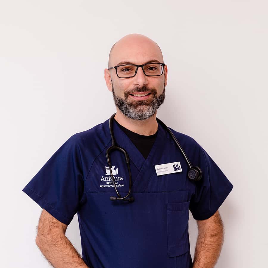 Martinho Capelão