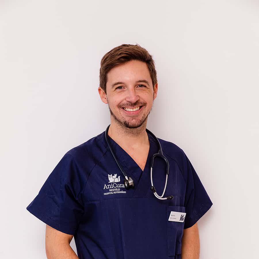 Fábio Silva