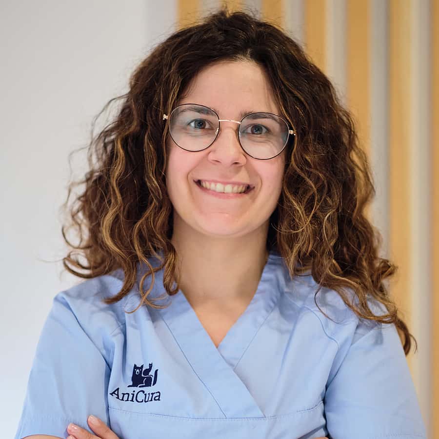 Enfermeiro Veterinário